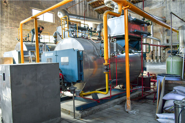 20吨燃气粉色视频下载APP价格