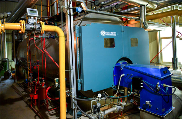 中国国产免费粉色APP排名