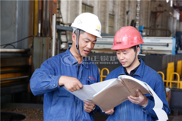 6蒸吨天然气型粉色直播多少钱一套用气量多少