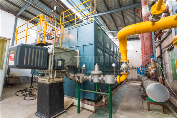 燃气导热油锅炉能为企业生产和城市环境带来哪些好处-无锡粉色视频APP免费看黄锅炉有限责任公司