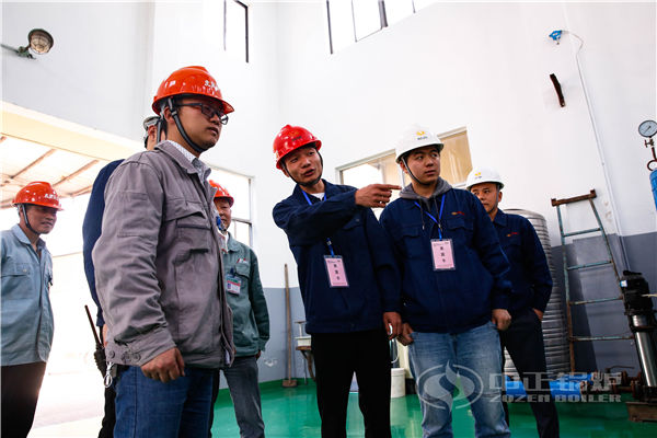 天粉色直播、用电锅炉、生物质锅炉、燃油锅炉哪个固定成本高