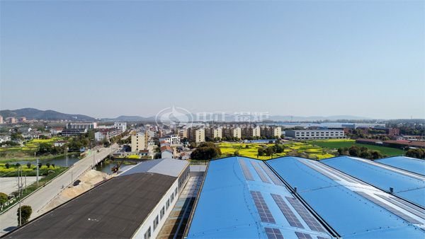 有机热载体锅炉