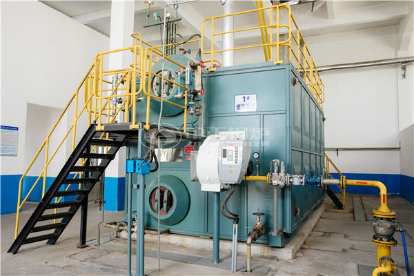 生物质燃料锅炉swgk