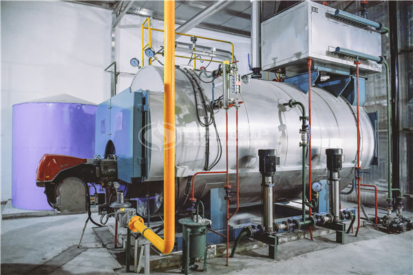 中小型化工厂6吨燃气粉色视频下载APP