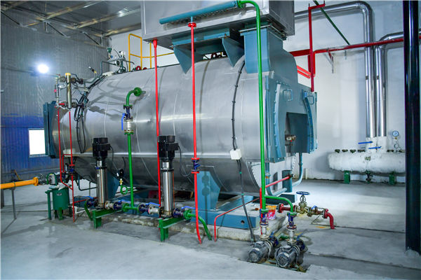 25t/h生物质锅炉