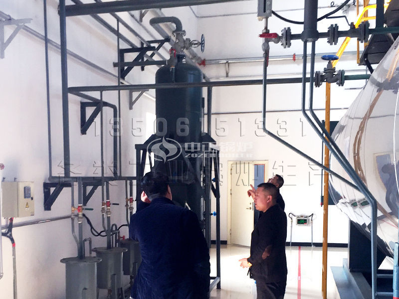 生物质锅炉哪家好