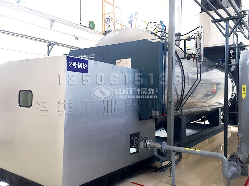 生物质锅炉哪家好